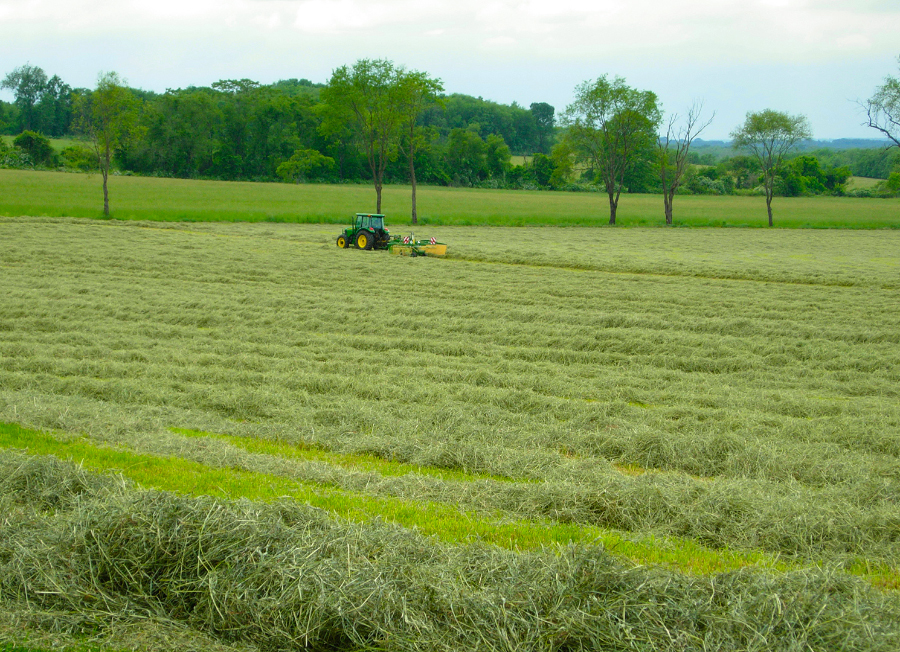 Hay Harvesting