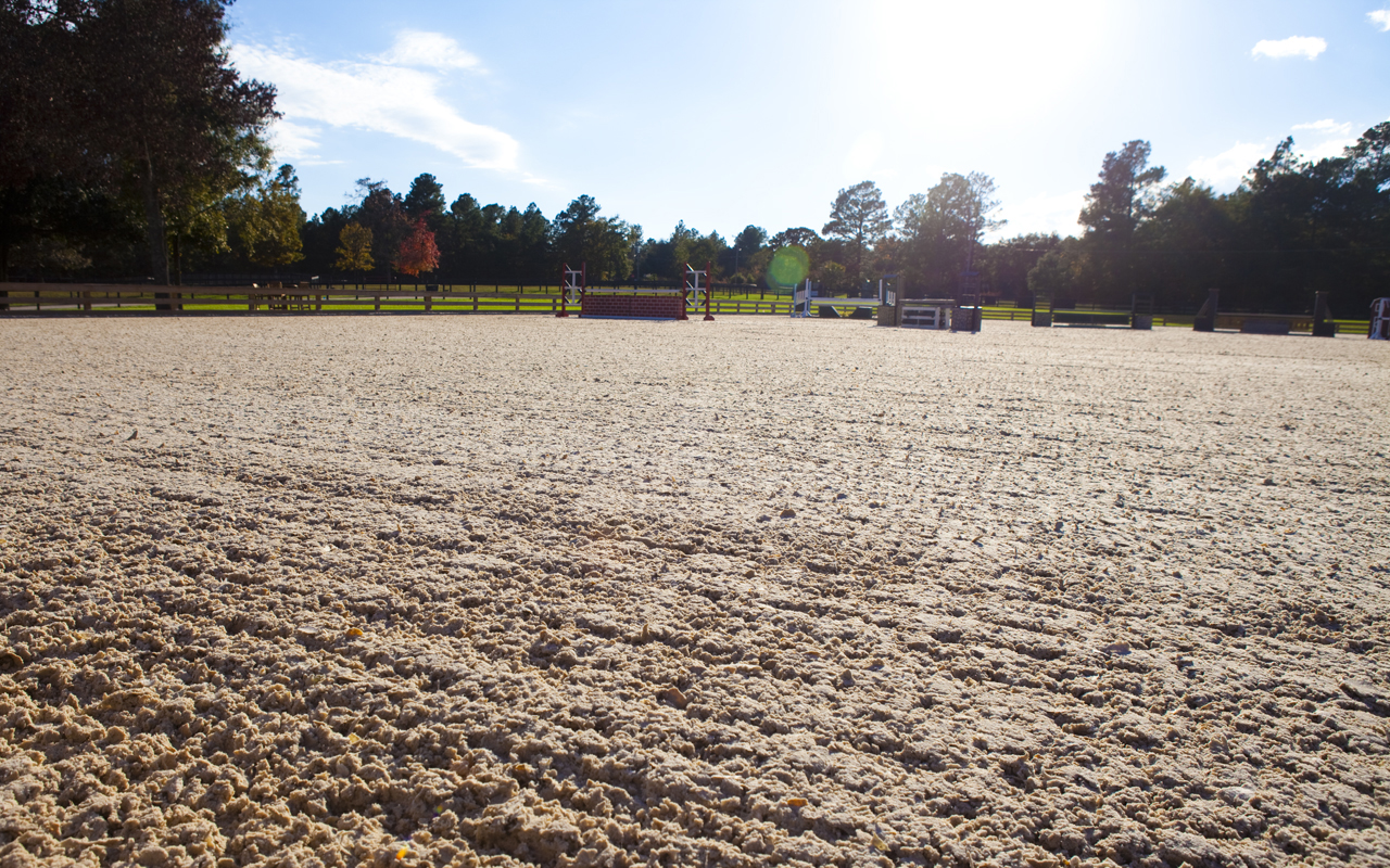 South Carolina Project