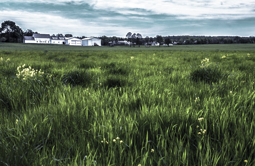 Hillsborough, New Jersey Project
