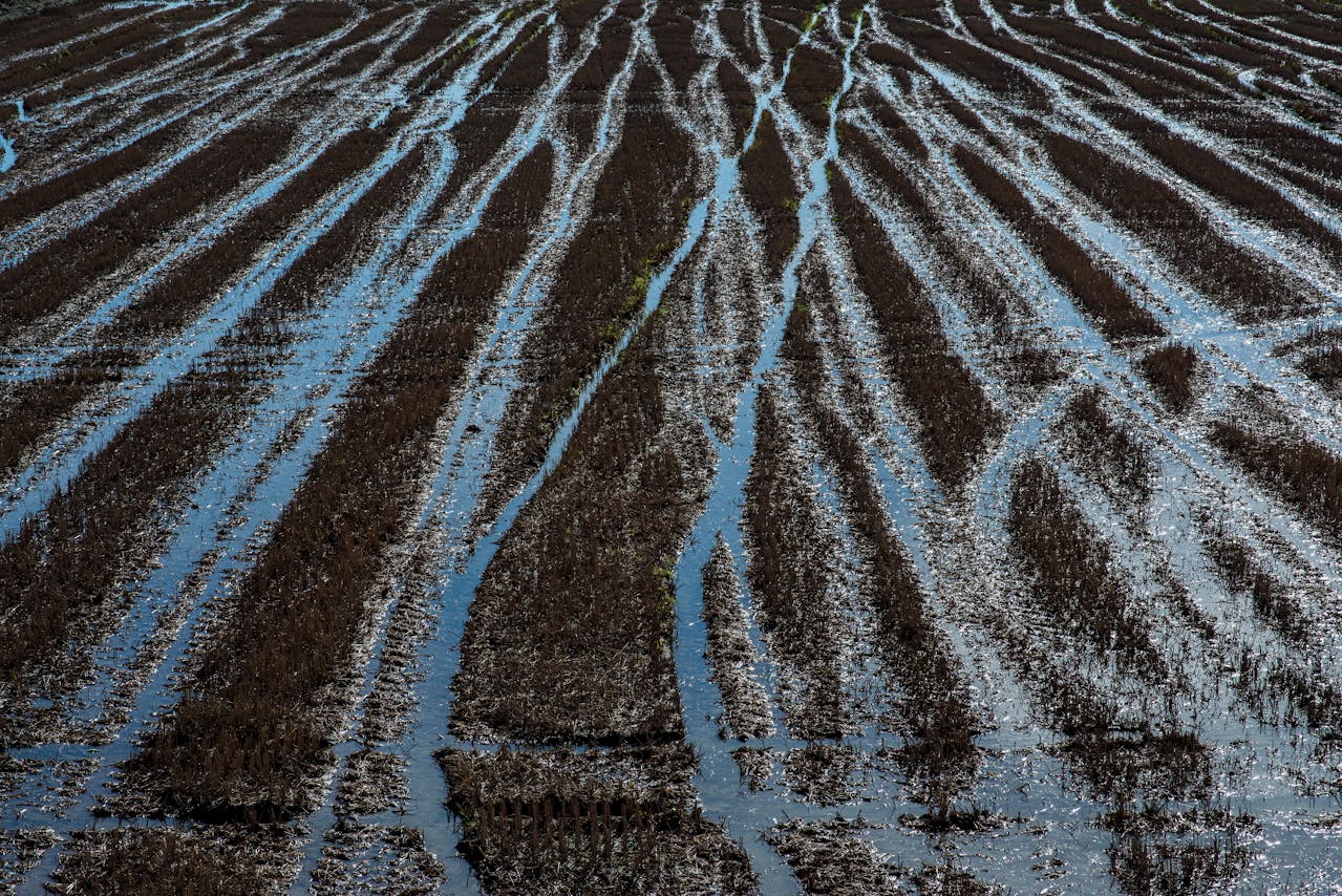 Stormwater Management