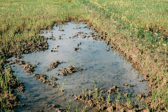 Stormwater Management System