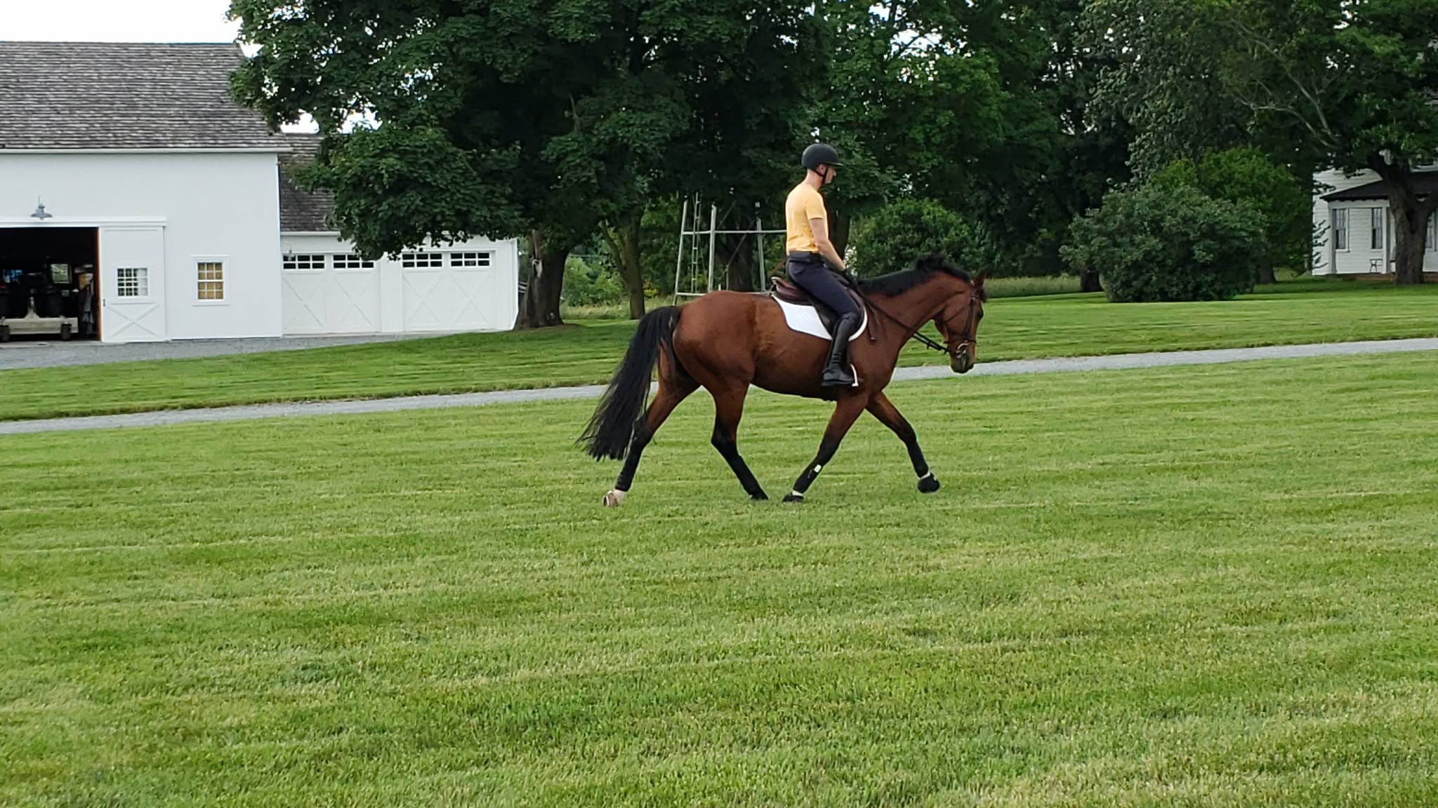 Laser Graded Grass Derby Fields